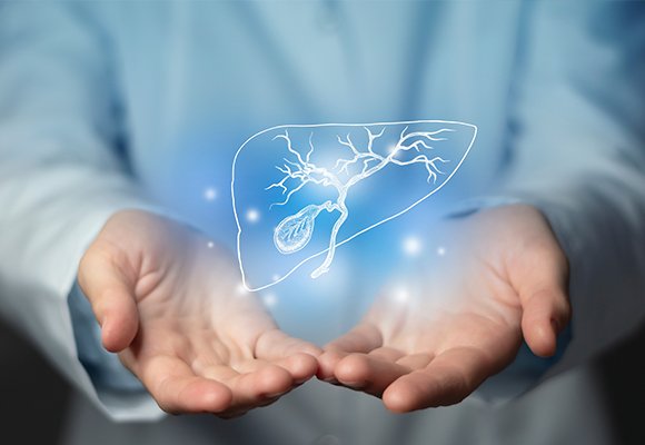 Gallbladder and bile ducts digestive disease services