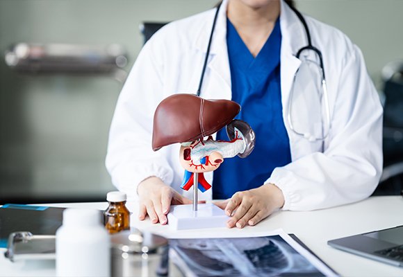 Liver digestive disease services