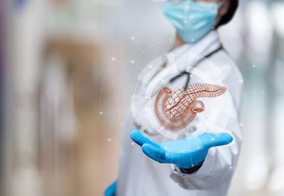 Pancreas digestive disease services